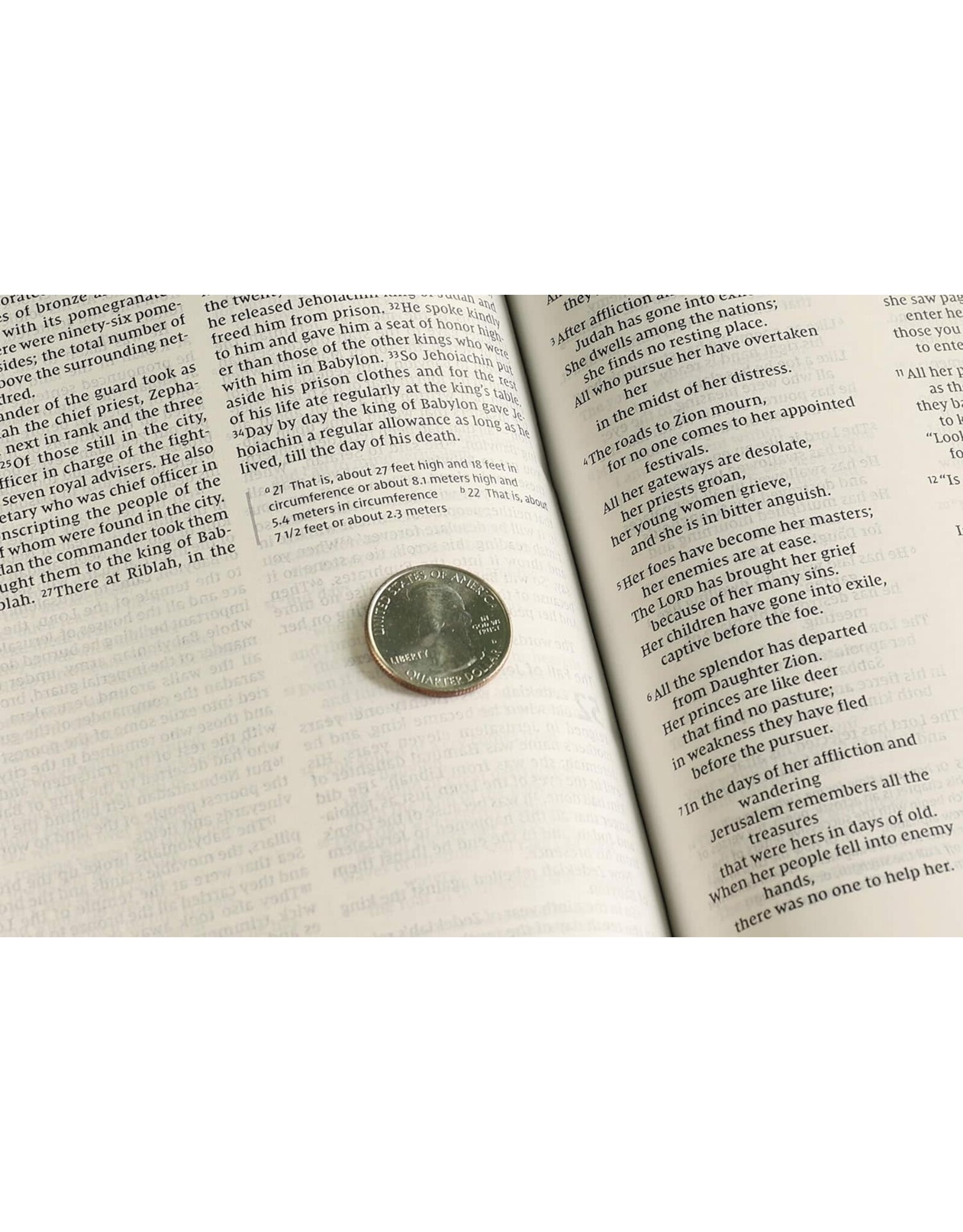 Zondervan NIV Value Thinline Bible, Pink Imitation Leather