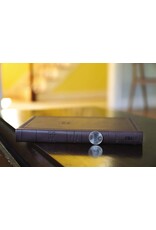 Zondervan NIV Value Thinline Bible, Brown Imitation Leather