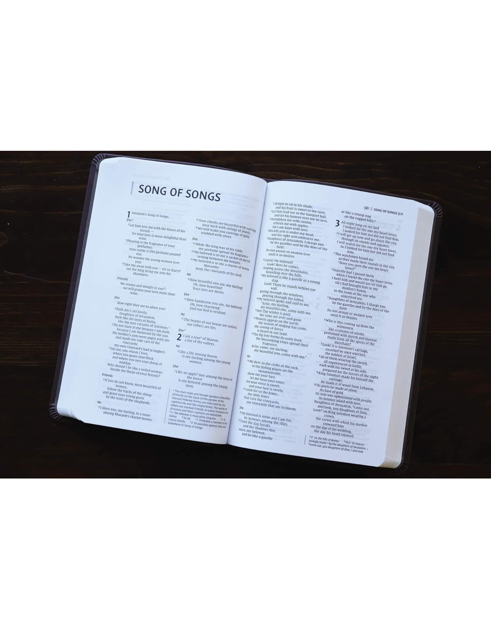 Zondervan NIV Value Thinline Bible, Brown Imitation Leather
