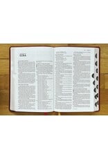 Zondervan NASB 1995 Text Large-Print Thinline Bible, Soft Leather-Look Brown (Indexed)