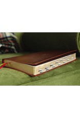 Zondervan NASB 1995 Text Large-Print Thinline Bible, Soft Leather-Look Brown (Indexed)