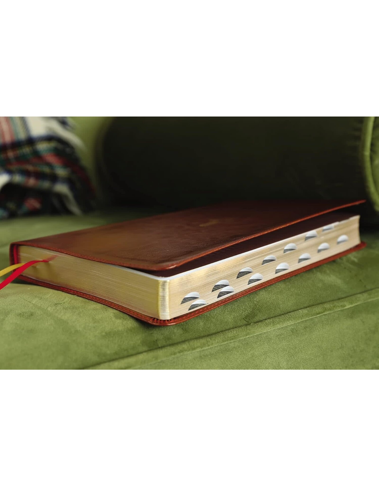 Zondervan NASB 1995 Text Large-Print Thinline Bible, Soft Leather-Look Brown (Indexed)