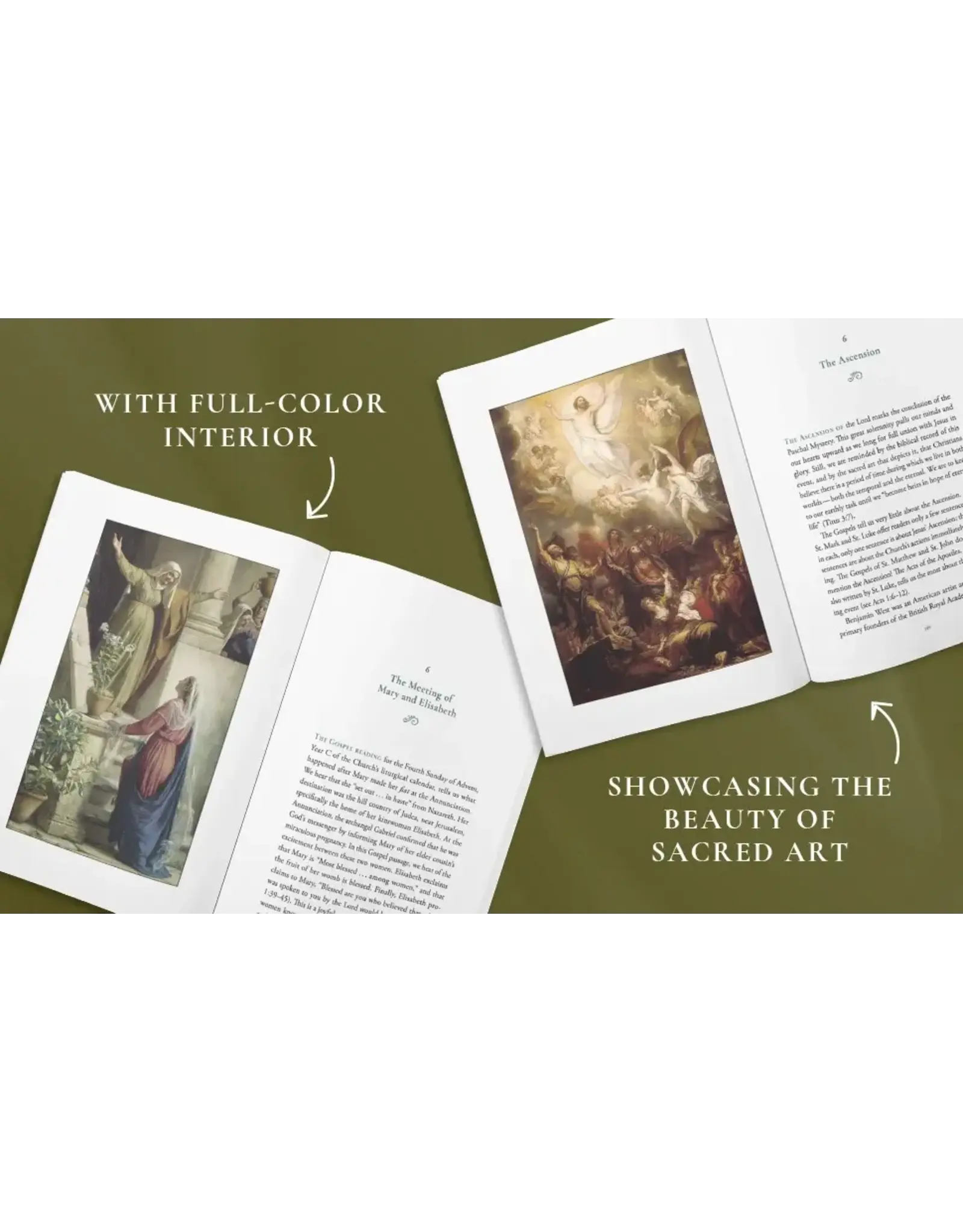 Sophia Institue Press Praying with Sacred Art: Pondering the Mystery of Redemption through Visio Divina