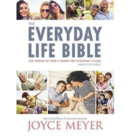 Faithworks Everyday Life Bible: Power of God's Word for Everyday Living