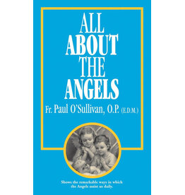 Tan Books (St. Benedict Press) All About the Angels