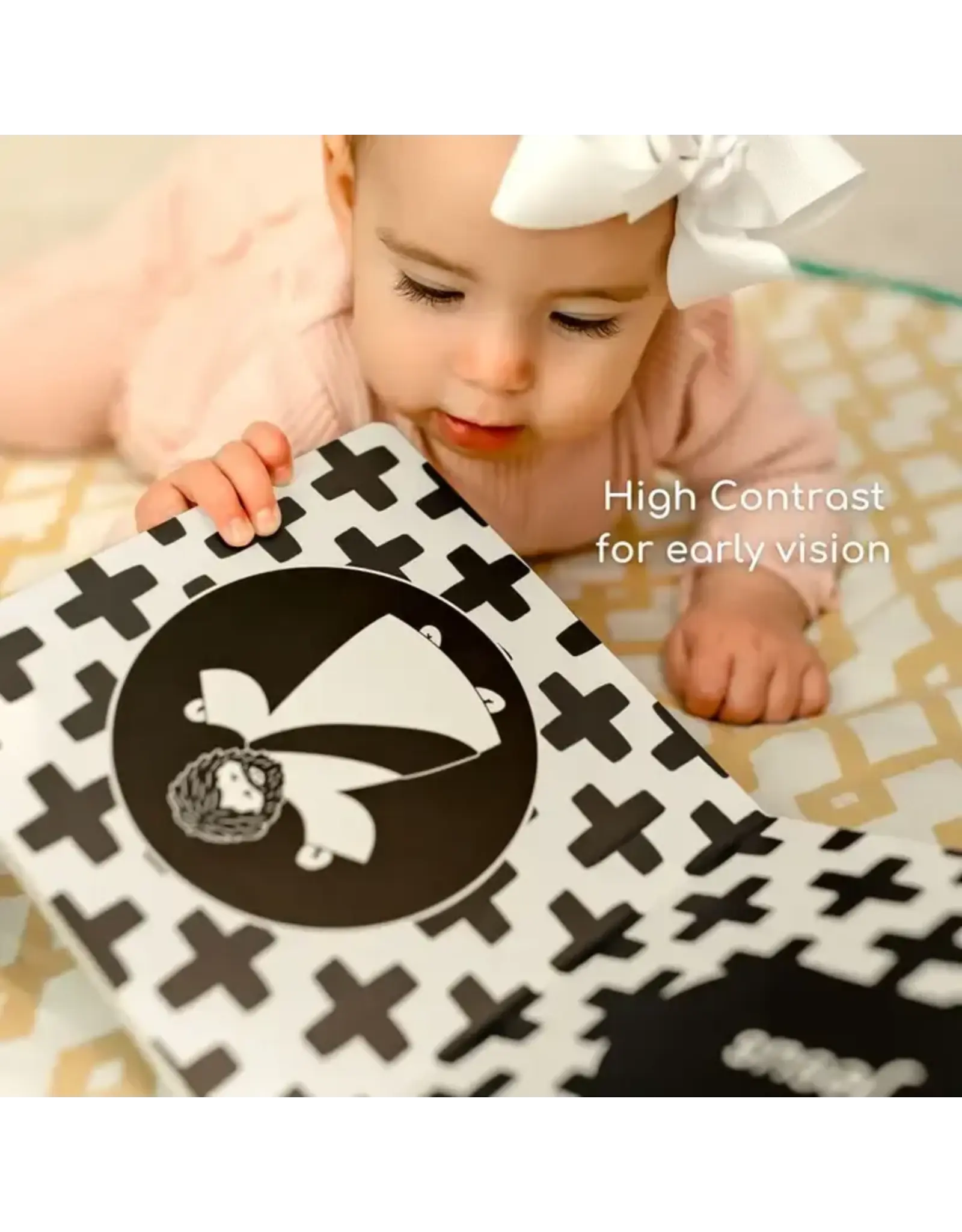 The Little Rose Shop Baby's 1st Catholic Book