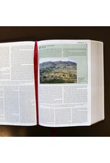 Thomas Nelson NKJV Study Bible, Comfort Print (Imitation Leather, Brown, Indexed)