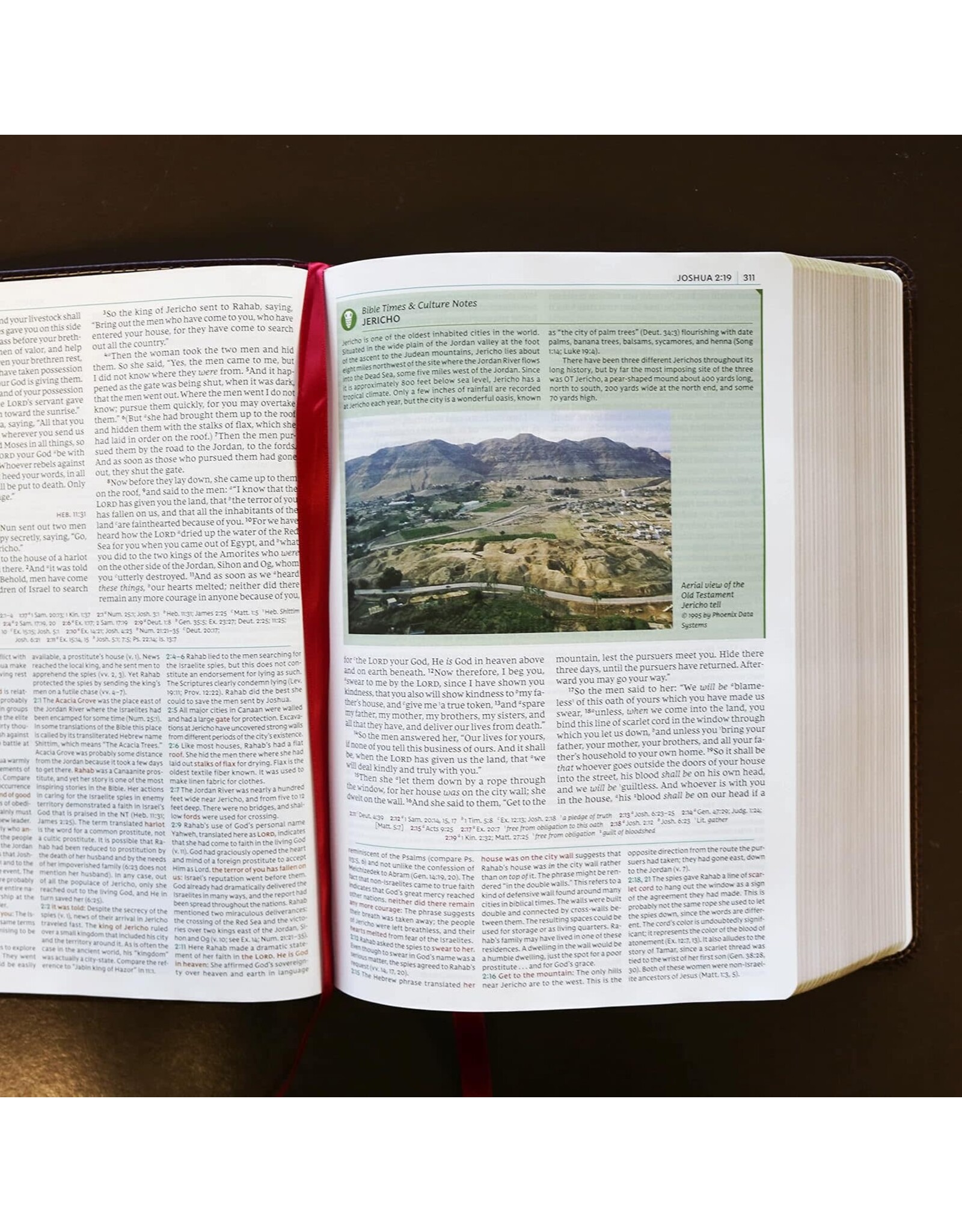 Thomas Nelson NKJV Study Bible, Comfort Print (Imitation Leather, Brown, Indexed)