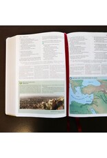 Thomas Nelson NKJV Study Bible, Comfort Print (Imitation Leather, Brown, Indexed)