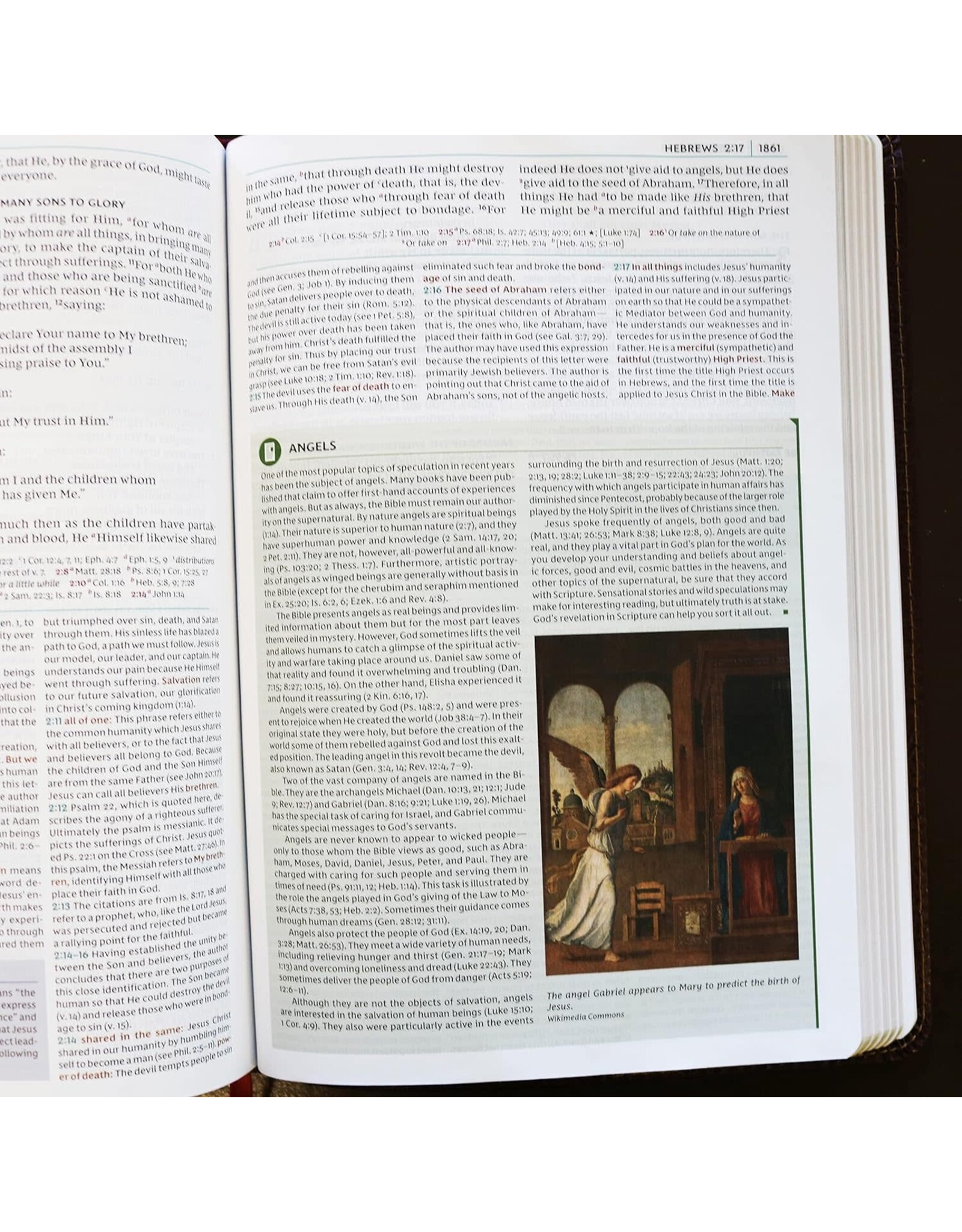 Thomas Nelson NKJV Study Bible, Comfort Print (Imitation Leather, Brown, Indexed)