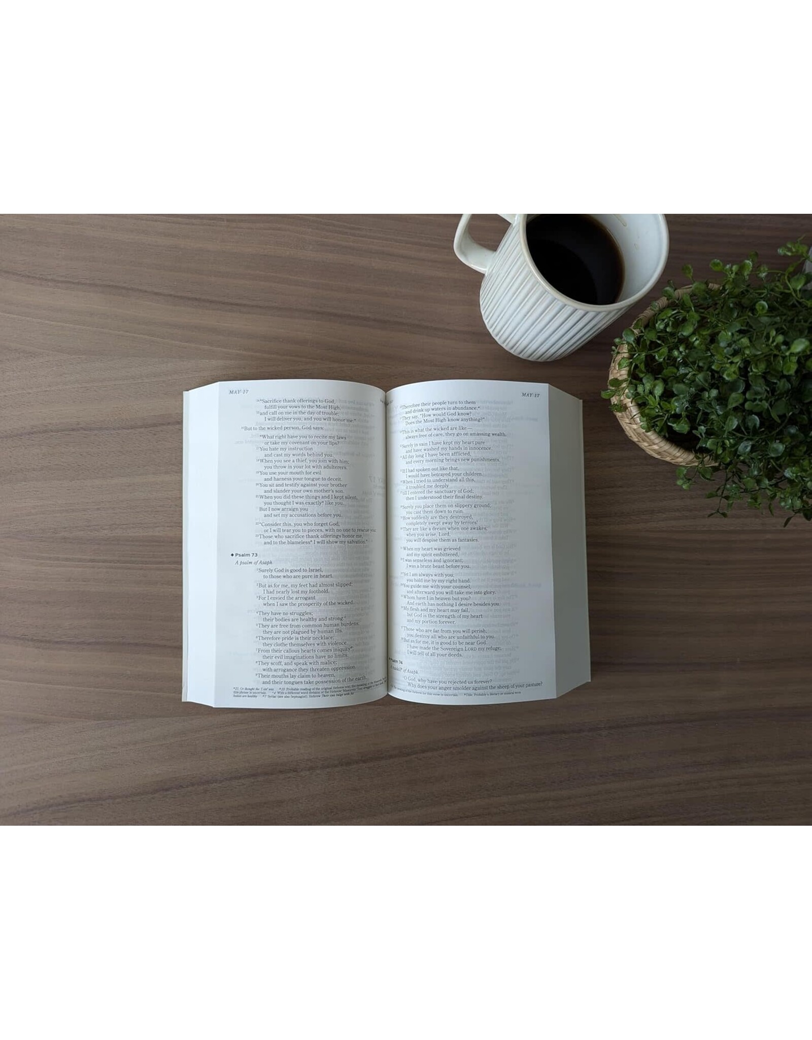 Tyndale One Year Chronological Bible NIV