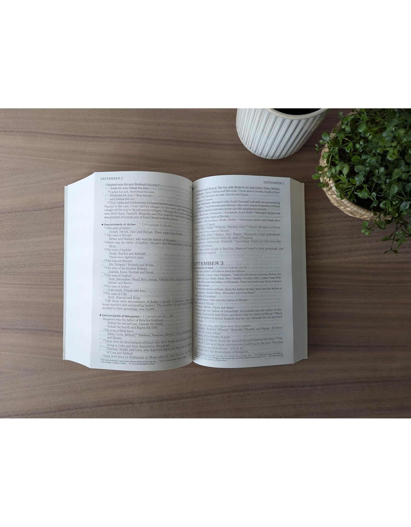 Tyndale The One Year Chronological Bible NIV