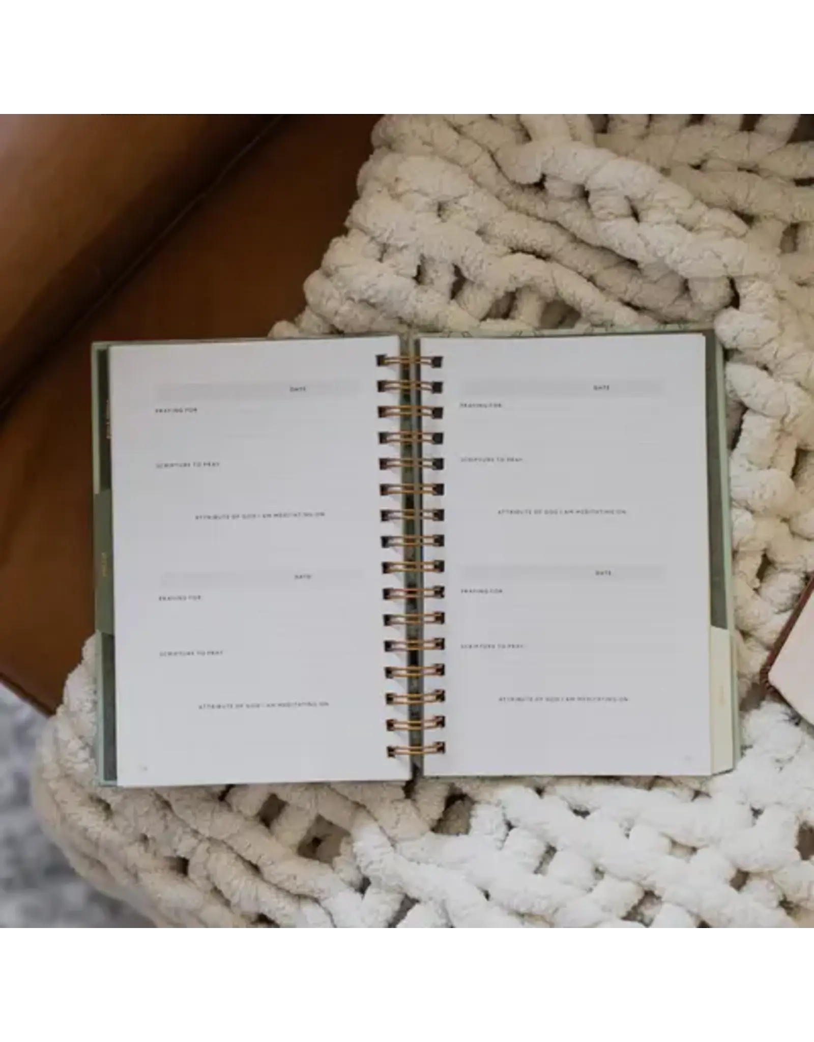 The Daily Grace Co. Abide Journal