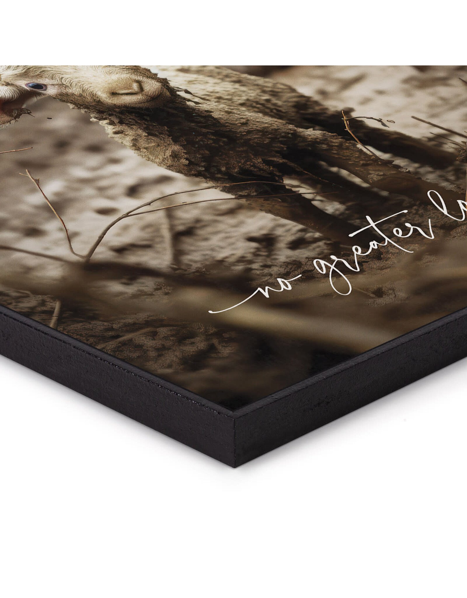 P Graham Dunn I Am Found Collection Art Print - Lamb