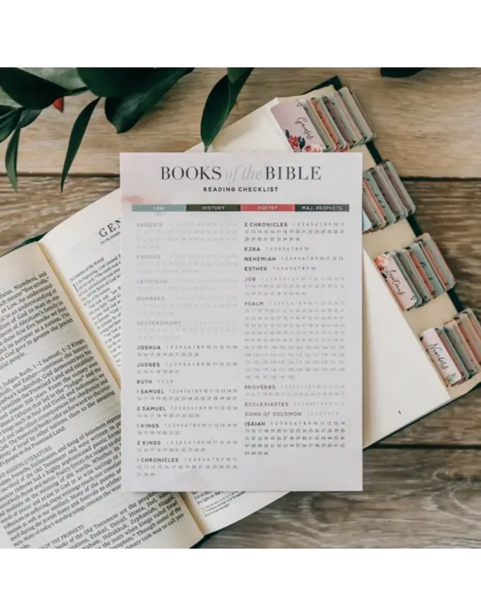 The Daily Grace Co. Books of the Bible Reading Checklist