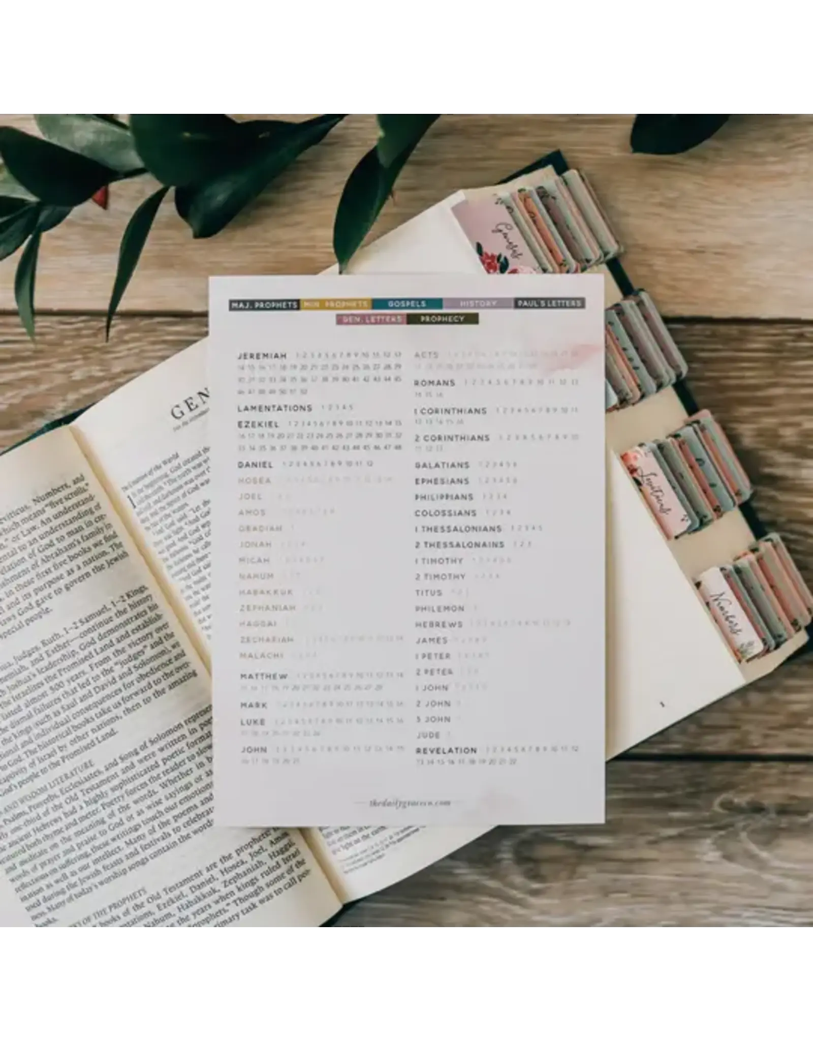 The Daily Grace Co. Books of the Bible Reading Checklist