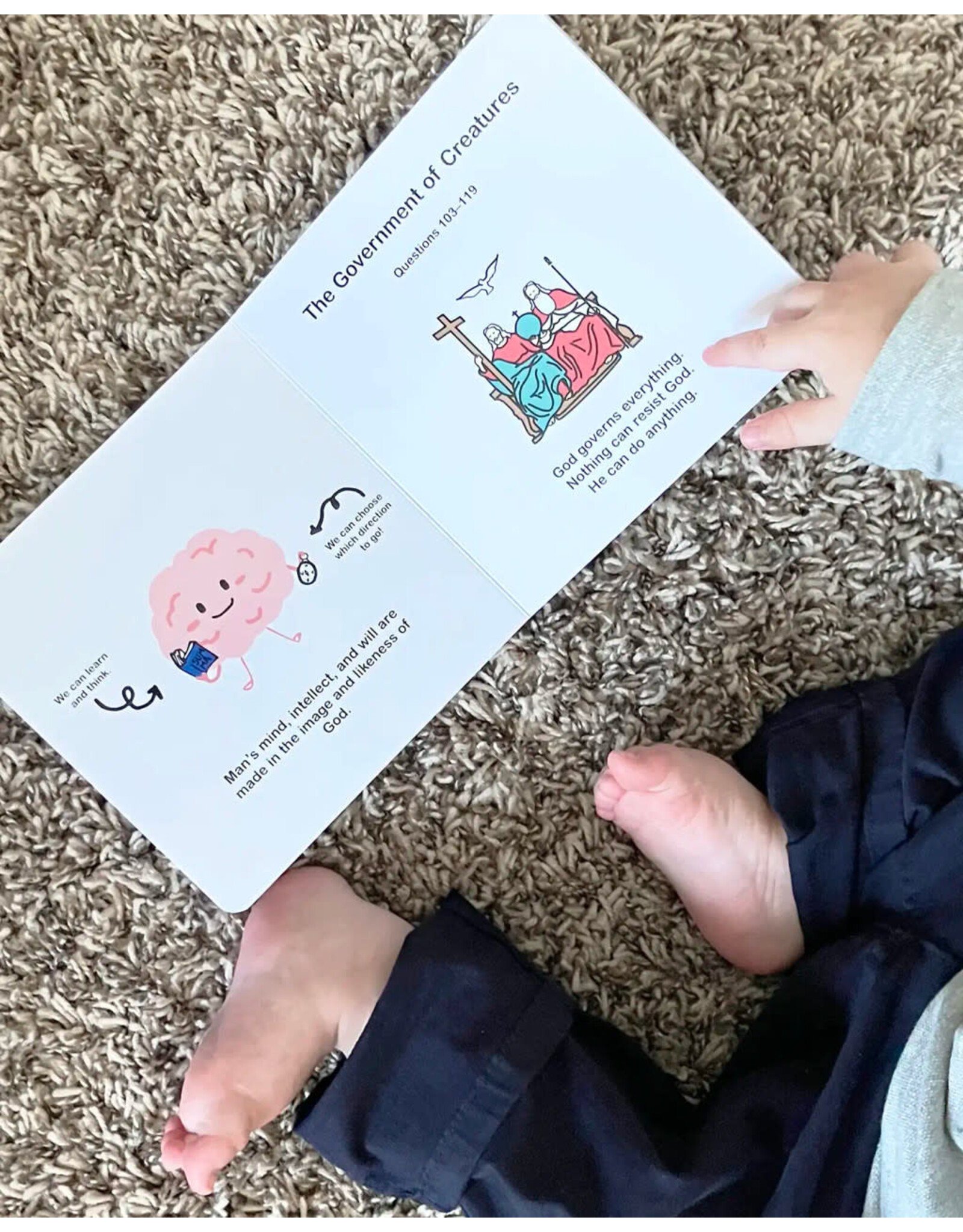 Tan Books (St. Benedict Press) Summa Theologiae for Babies: Prima Pars