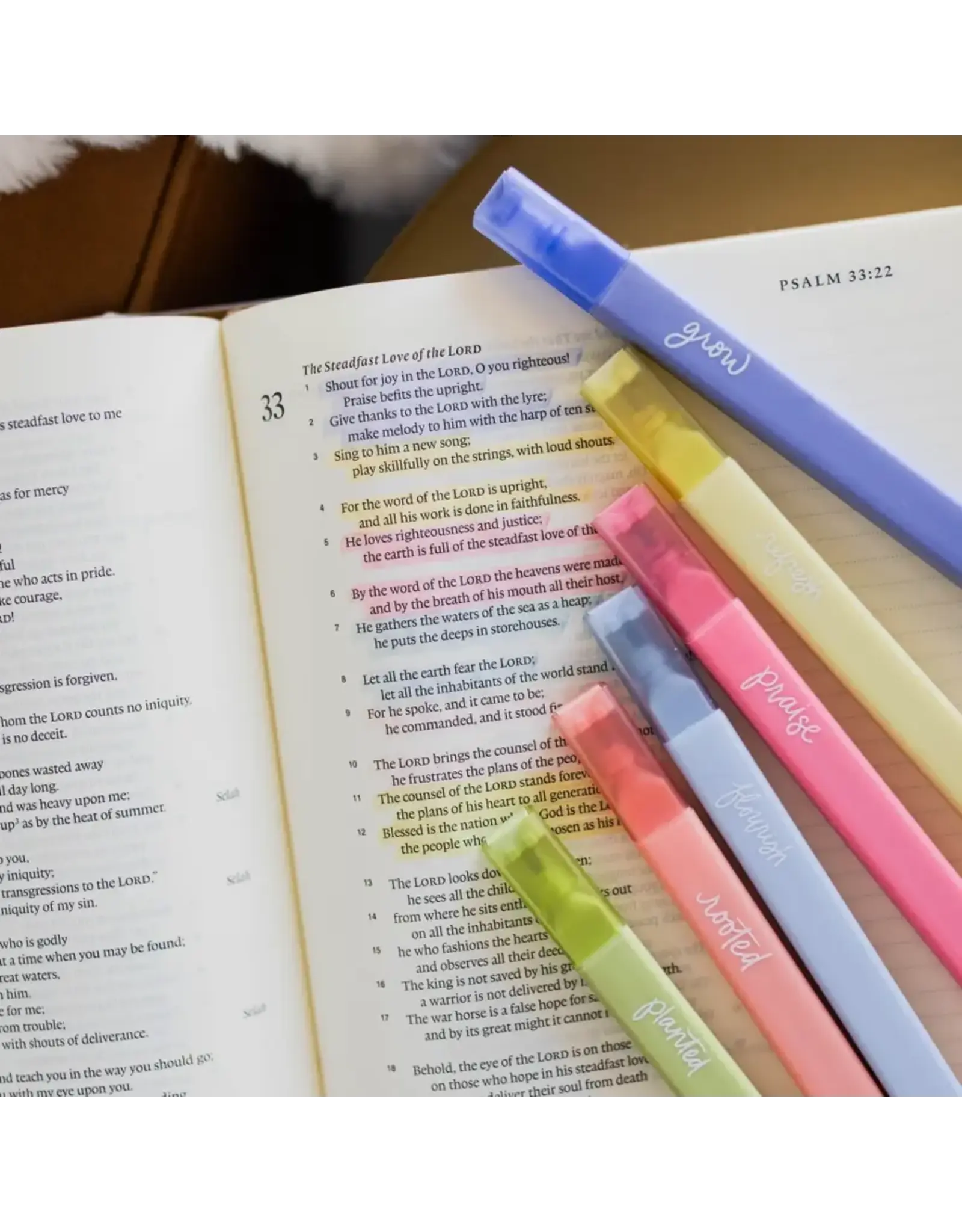 The Daily Grace Co. Bible Highlighter Set of 6, Garden