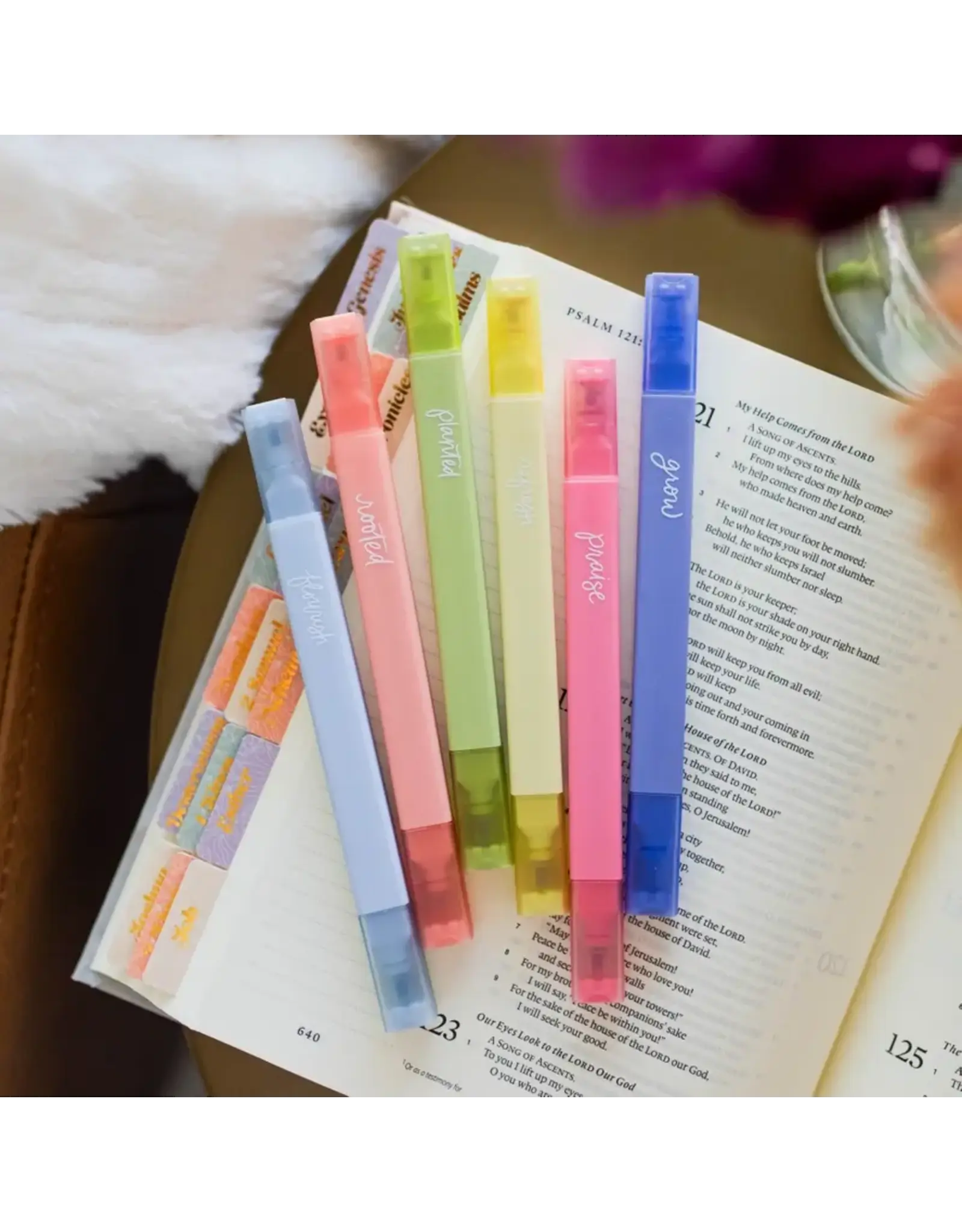 The Daily Grace Co. Bible Highlighter Set of 6, Garden
