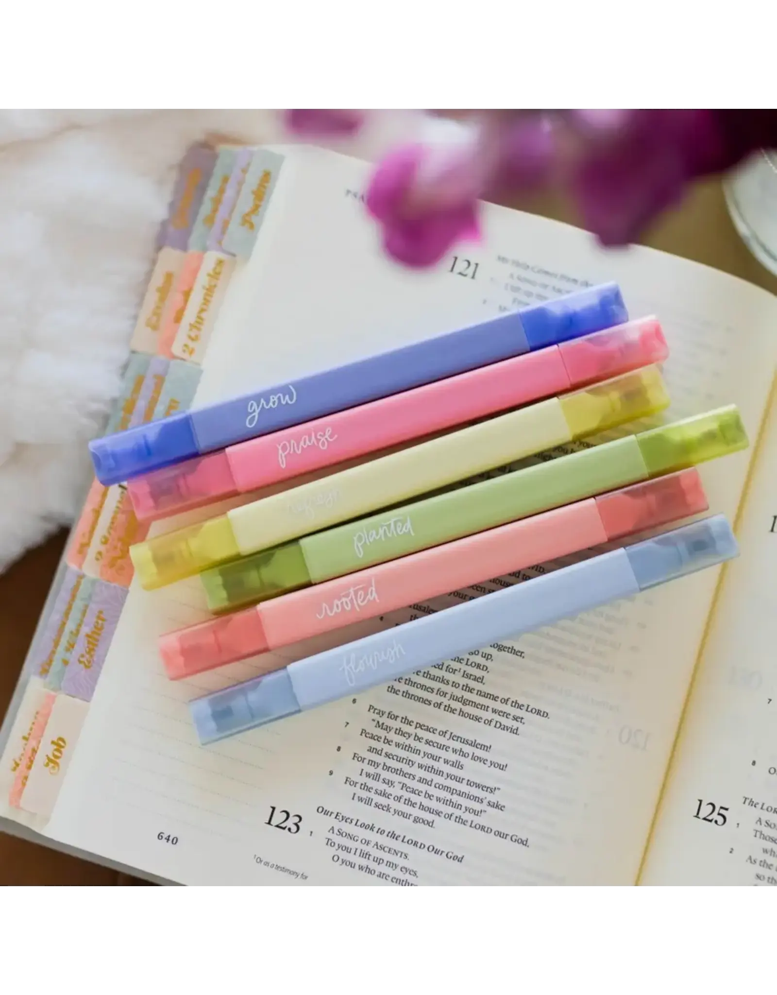 The Daily Grace Co. Bible Highlighter Set of 6, Garden