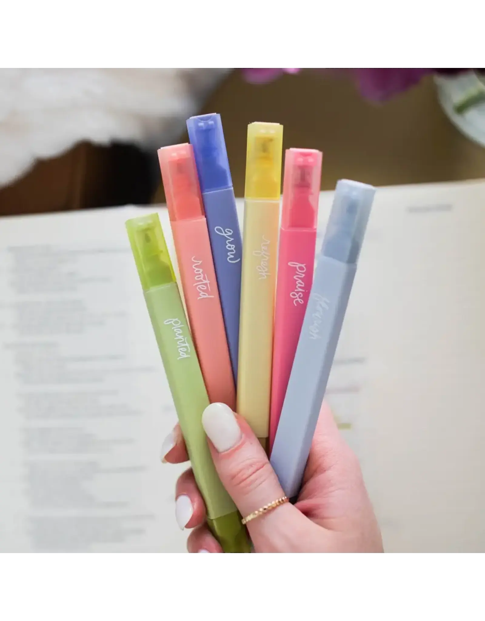 The Daily Grace Co. Bible Highlighter Set of 6, Garden