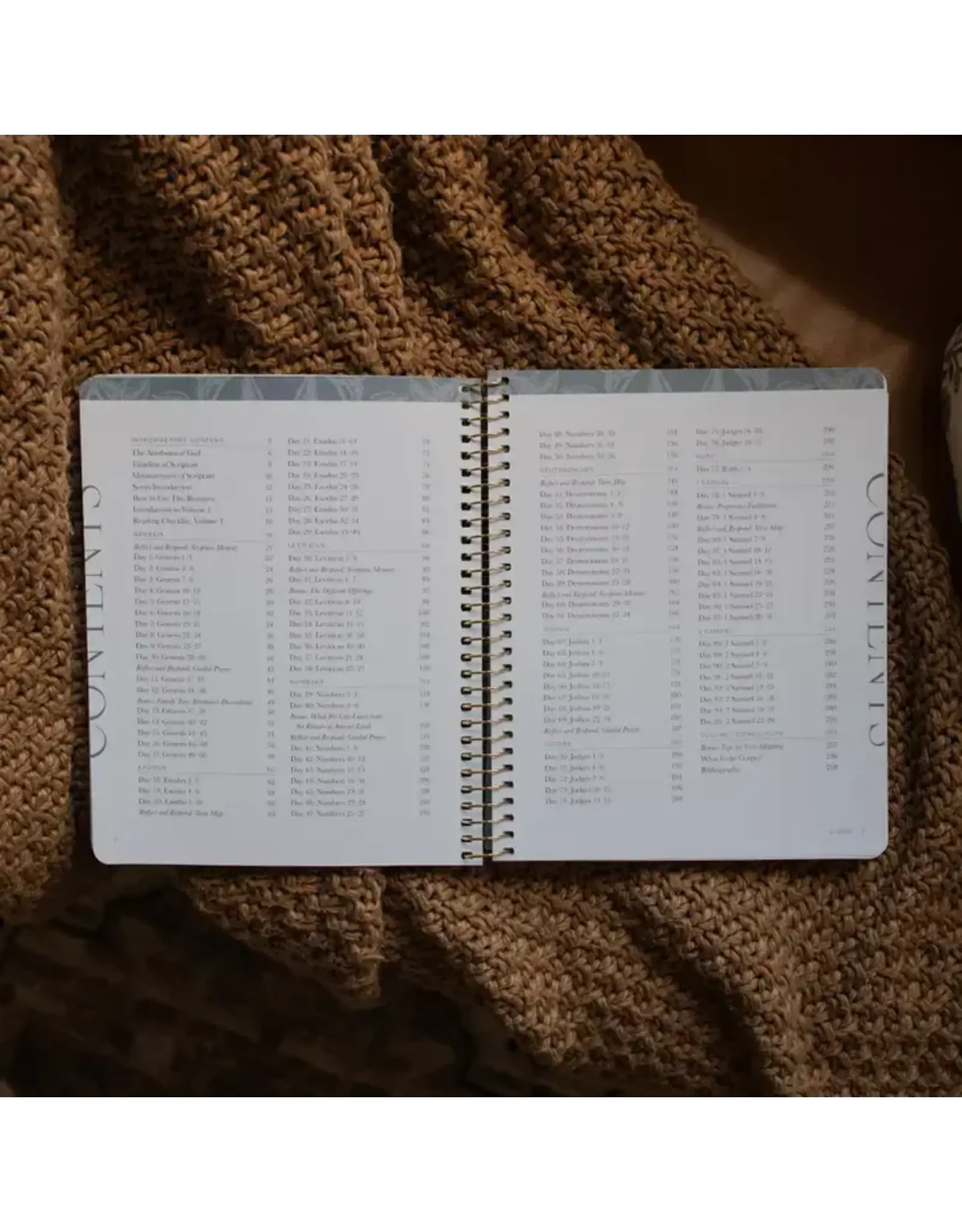 The Daily Grace Co. A Year in the Bible: 365 Days of Discovering the Beauty of Jesus from Genesis To Revelation