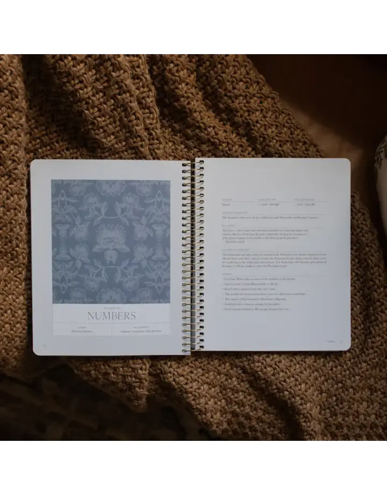 The Daily Grace Co. A Year in the Bible: 365 Days of Discovering the Beauty of Jesus from Genesis To Revelation