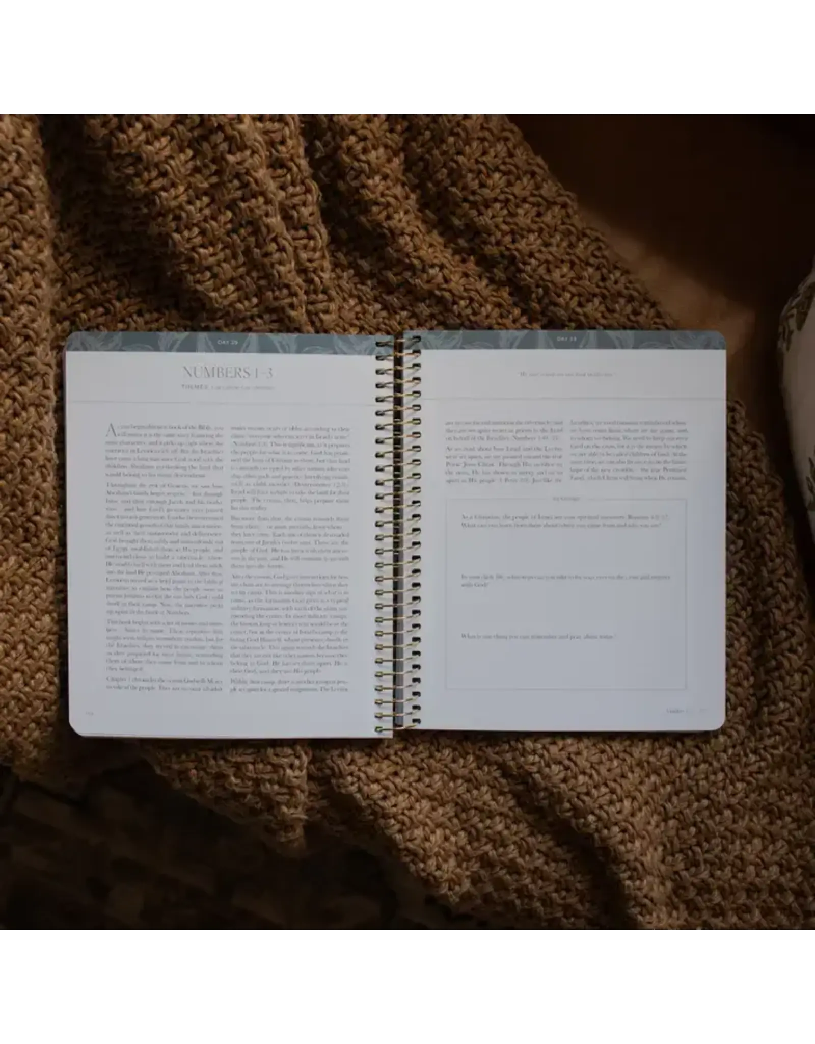 The Daily Grace Co. A Year in the Bible: 365 Days of Discovering the Beauty of Jesus from Genesis To Revelation