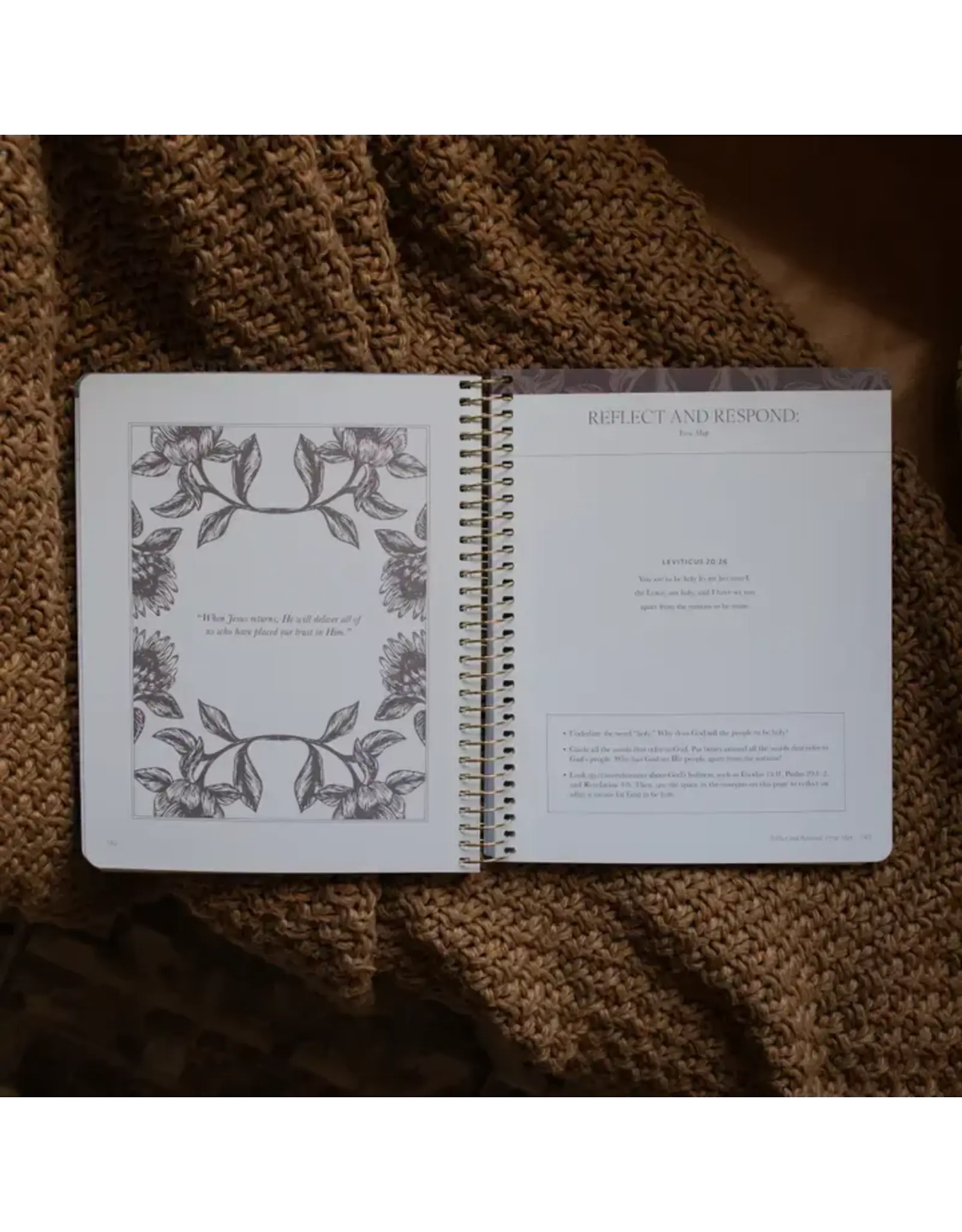 The Daily Grace Co. A Year in the Bible: 365 Days of Discovering the Beauty of Jesus from Genesis To Revelation