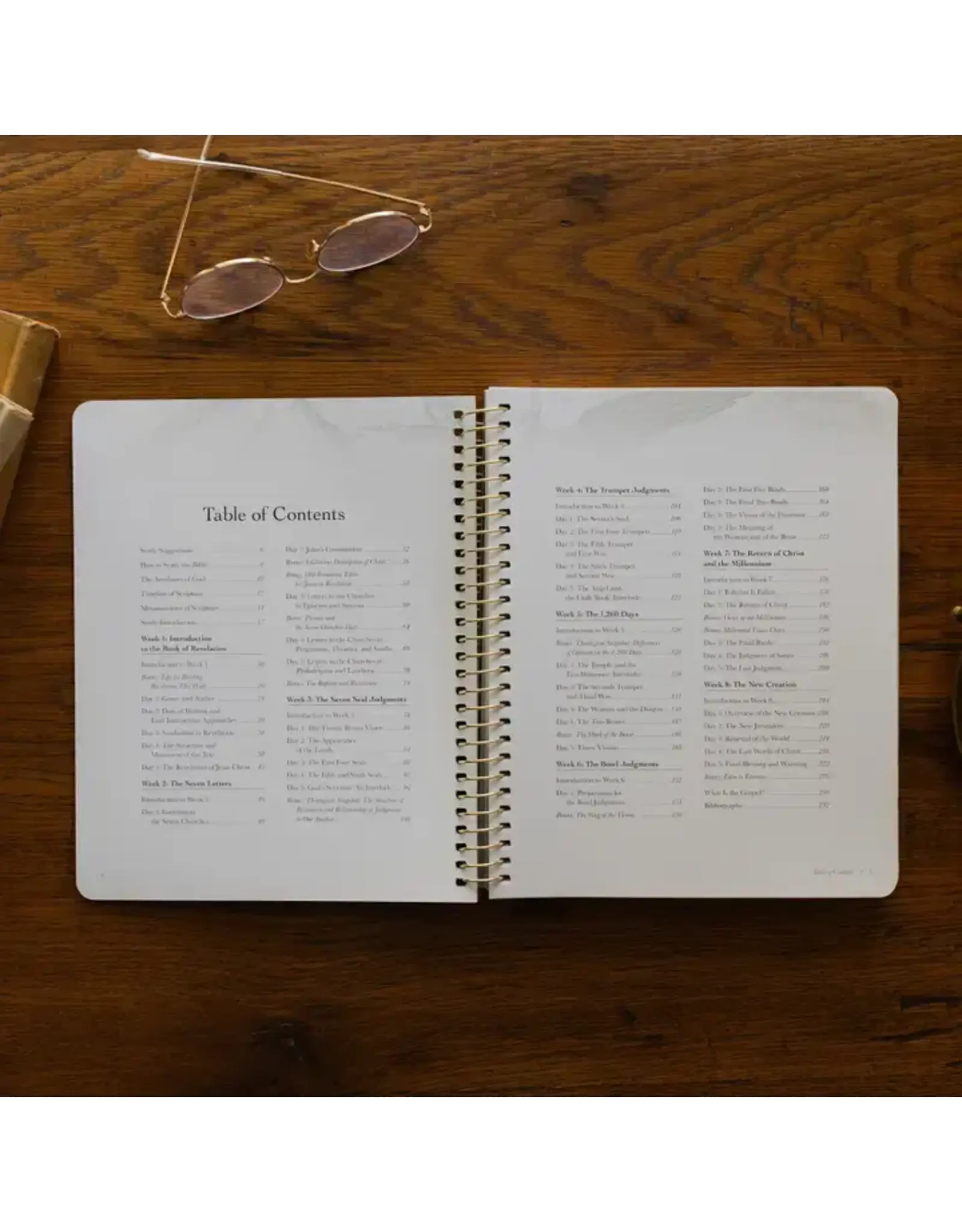 The Daily Grace Co. Revelation: End of Time and the Eternal King - Spiral