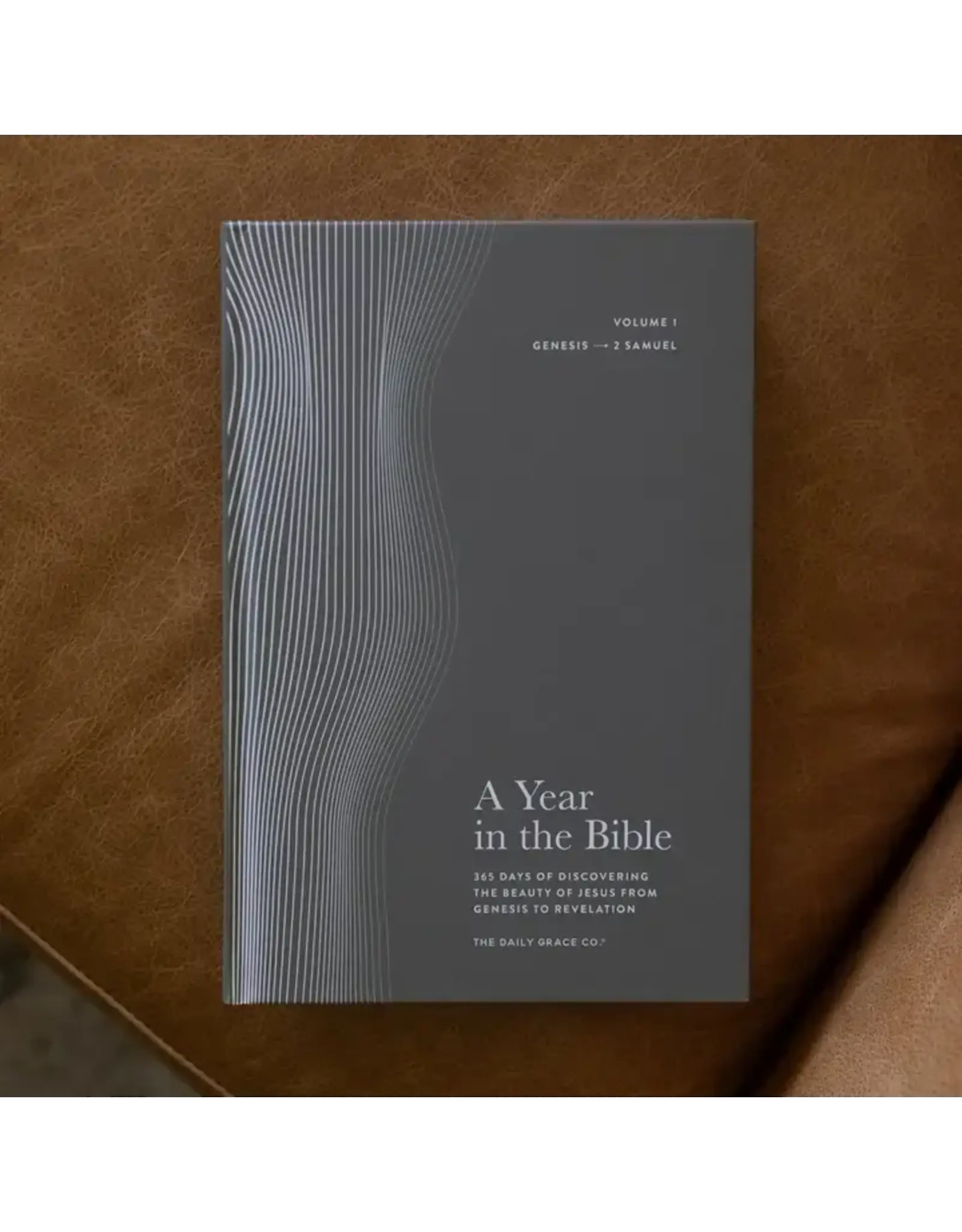 The Daily Grace Co. A Year in the Bible-Men's Study-365 Days of Discovering the Beauty of Jesus from Genesis to Revelation