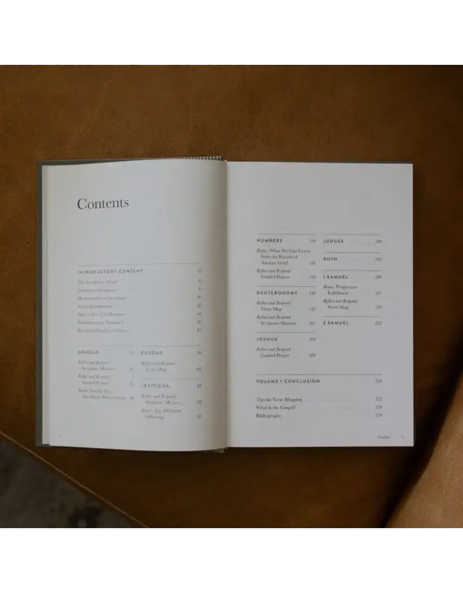 The Daily Grace Co. A Year in the Bible-Men's Study-365 Days of Discovering the Beauty of Jesus from Genesis to Revelation