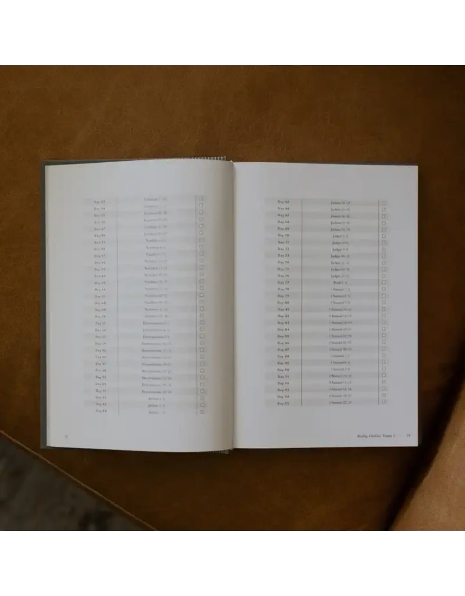 The Daily Grace Co. A Year in the Bible-365 Days of Discovering the Beauty of Jesus from Genesis to Revelation (Men's Edition)