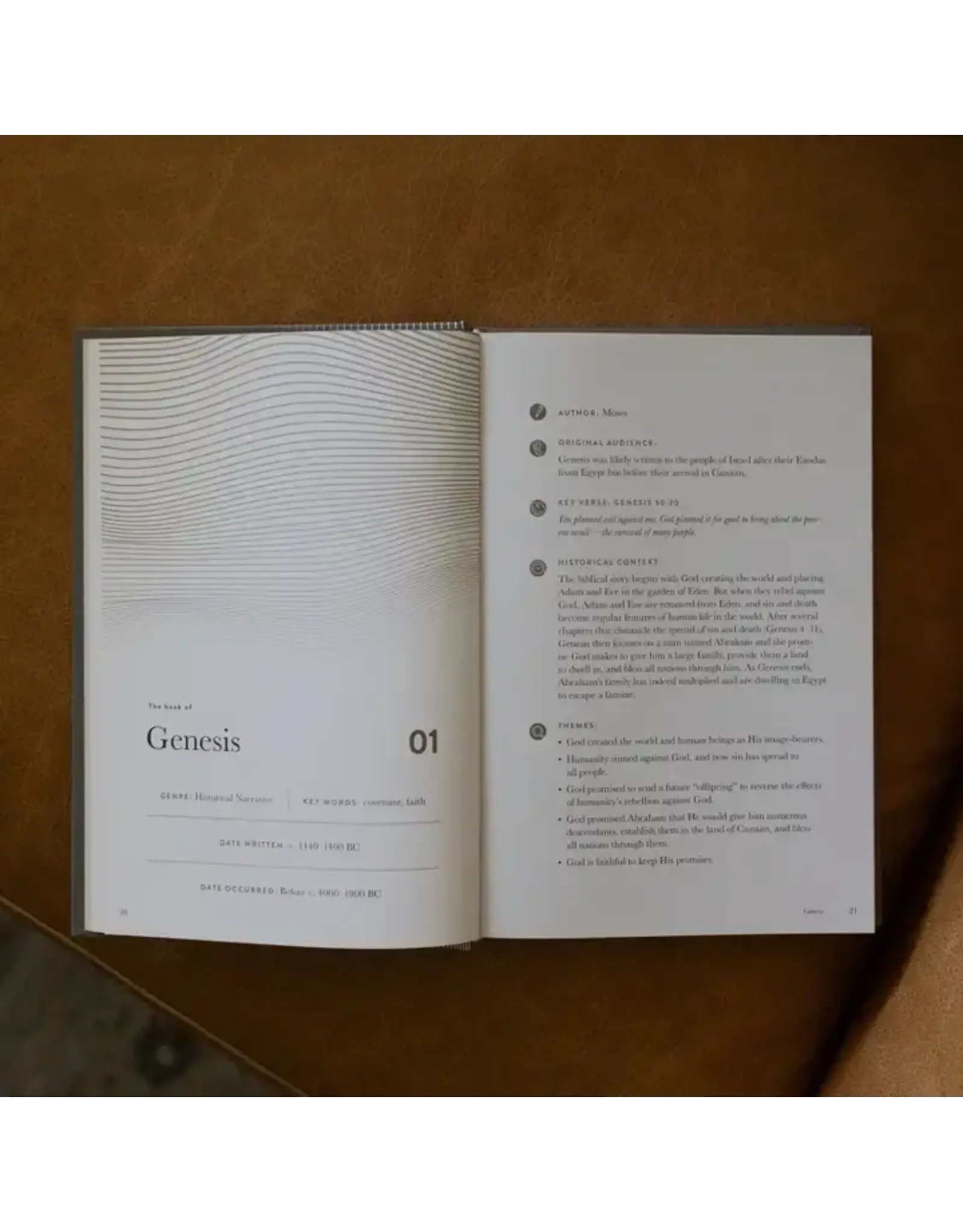 The Daily Grace Co. A Year in the Bible-365 Days of Discovering the Beauty of Jesus from Genesis to Revelation (Men's Edition)