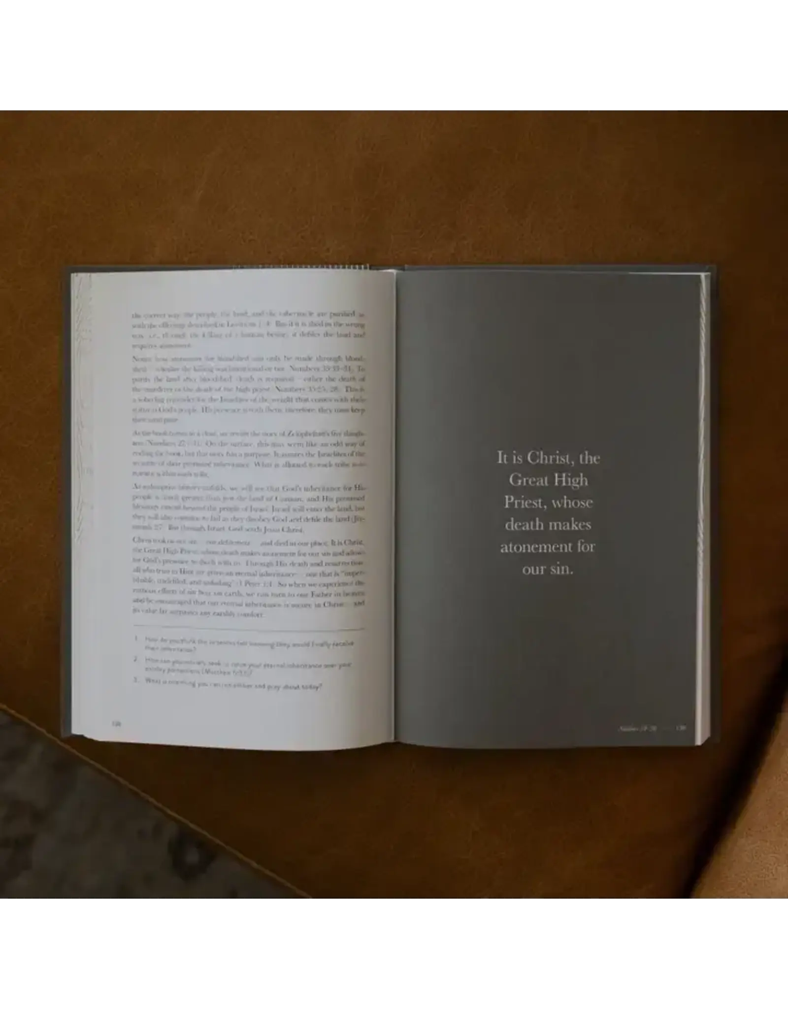 The Daily Grace Co. A Year in the Bible-365 Days of Discovering the Beauty of Jesus from Genesis to Revelation (Men's Edition)