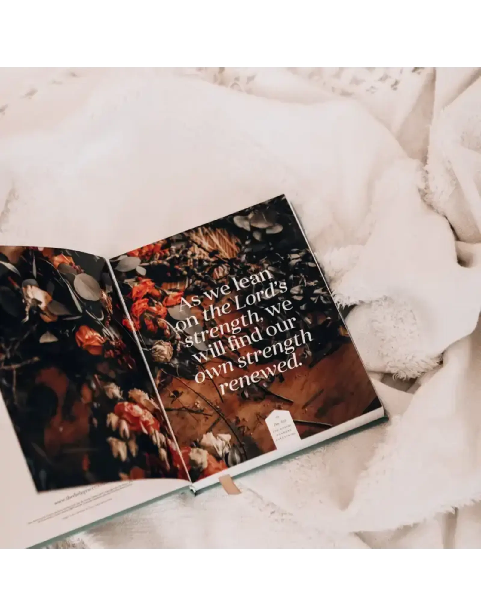 The Daily Grace Co. The Gospel Changes Everything | 365-Day Devotional