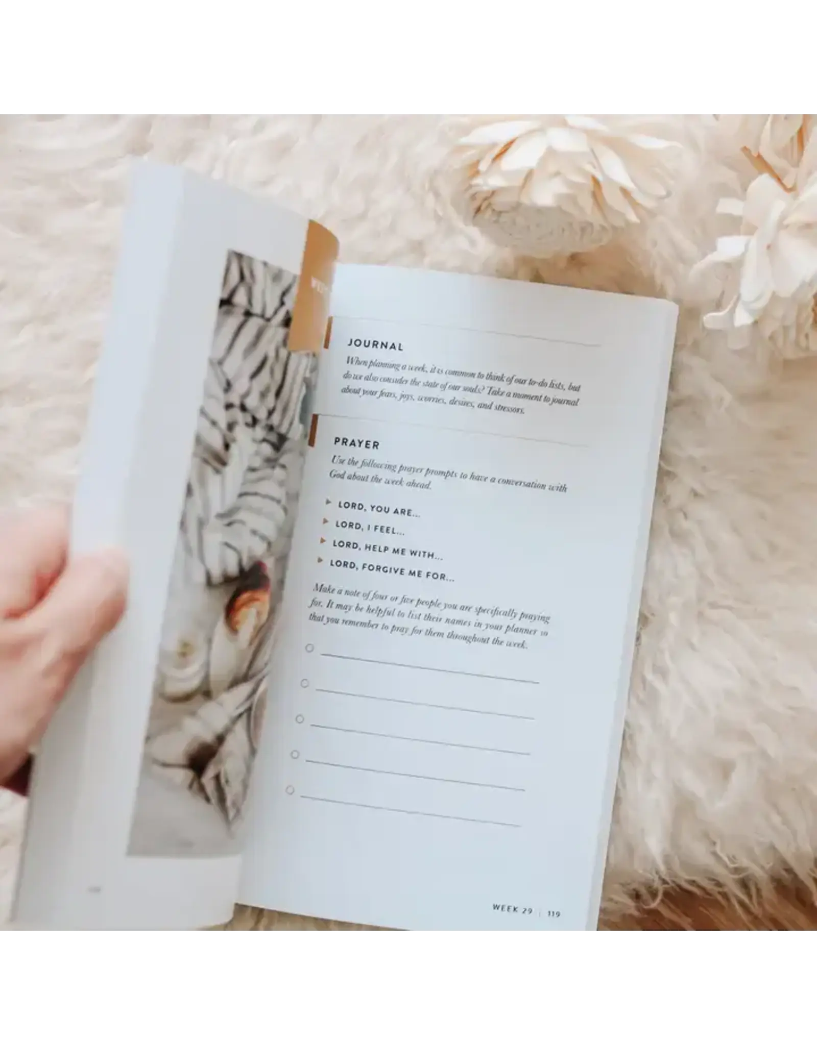 The Daily Grace Co. Fix Your Focus | A 52-Week Guide To Help You Put God First