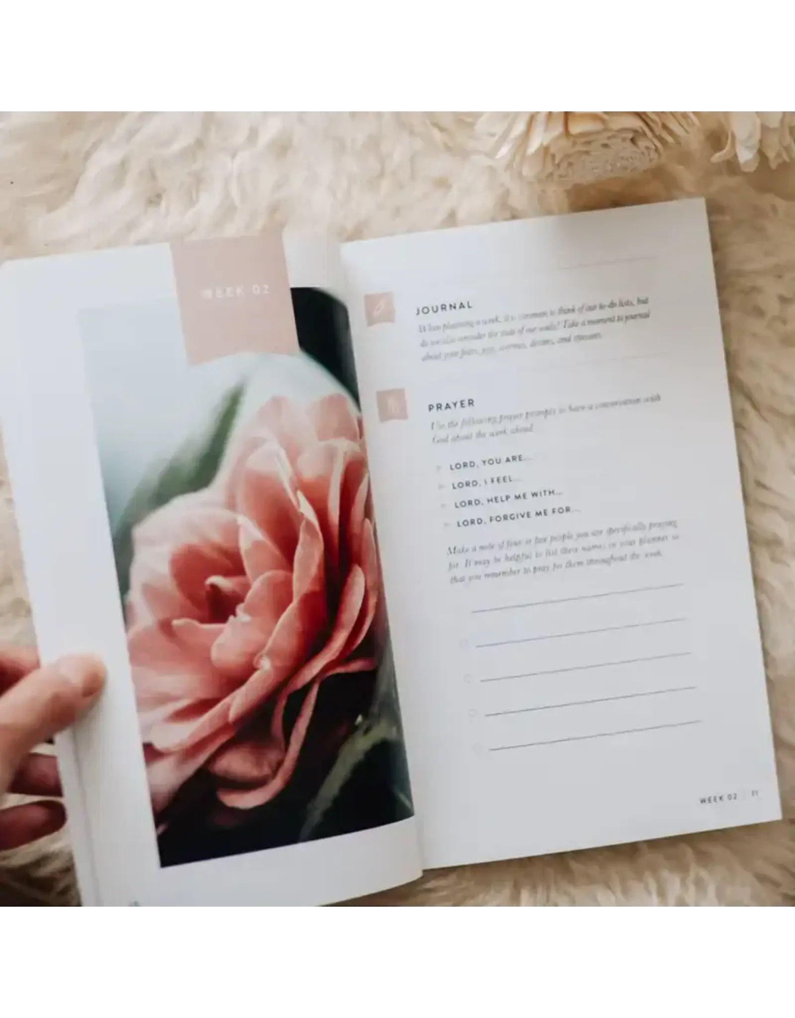 The Daily Grace Co. Fix Your Focus | A 52-Week Guide To Help You Put God First