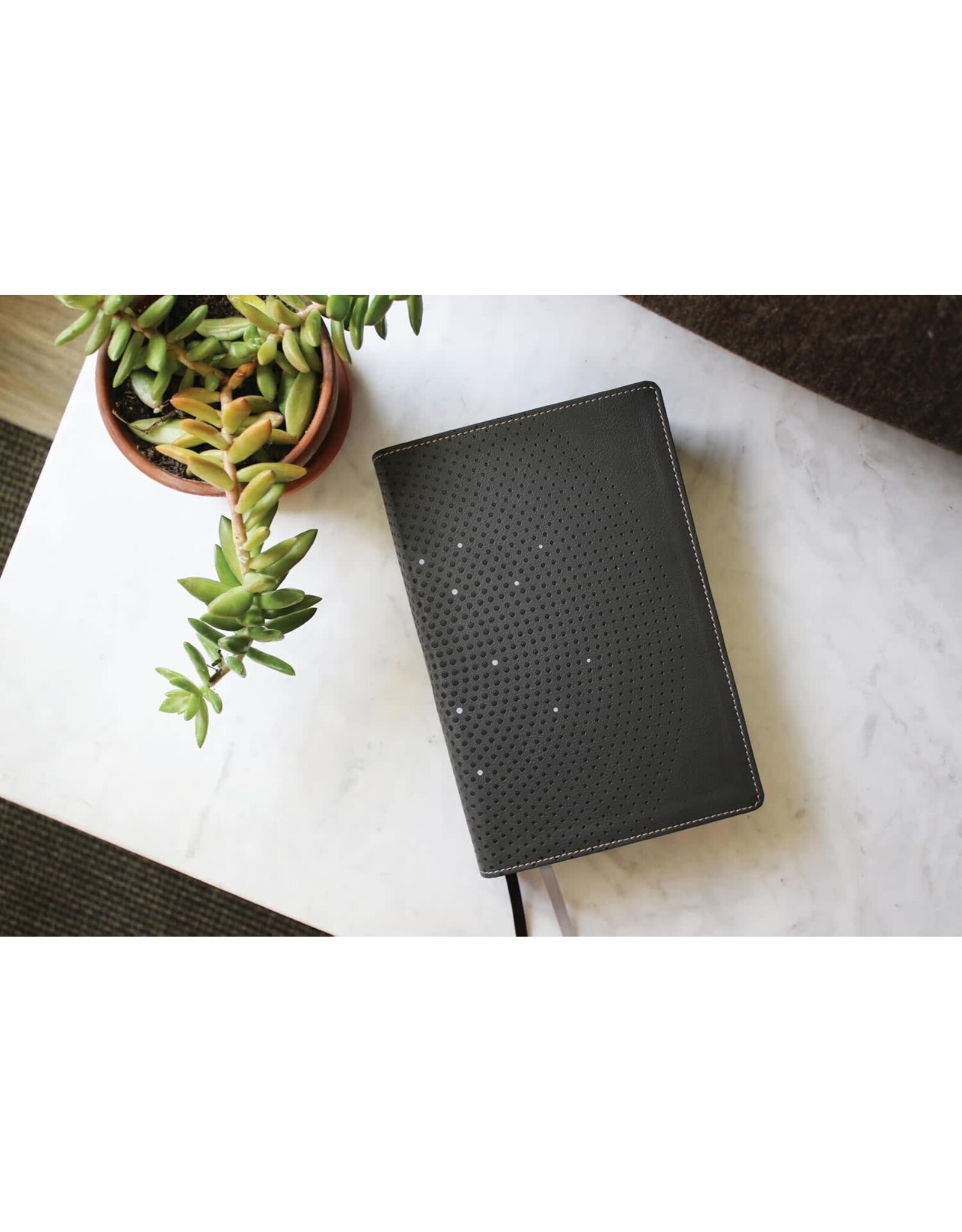 Zondervan NIV Clear Focus Bible. Leathersoft, Charcoal Brown