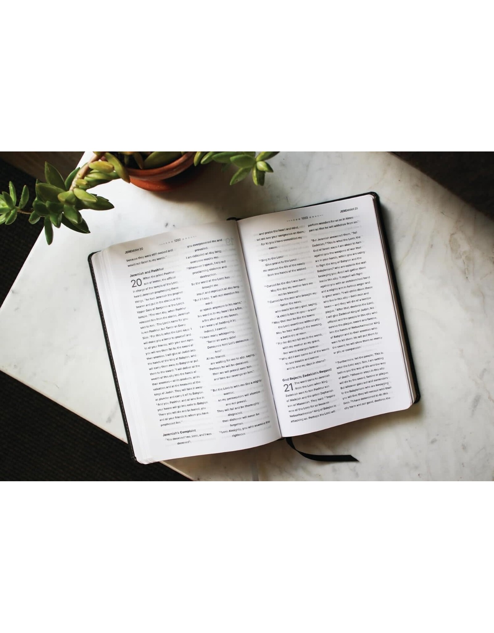 Zondervan NIV Clear Focus Bible. Leathersoft, Charcoal Brown