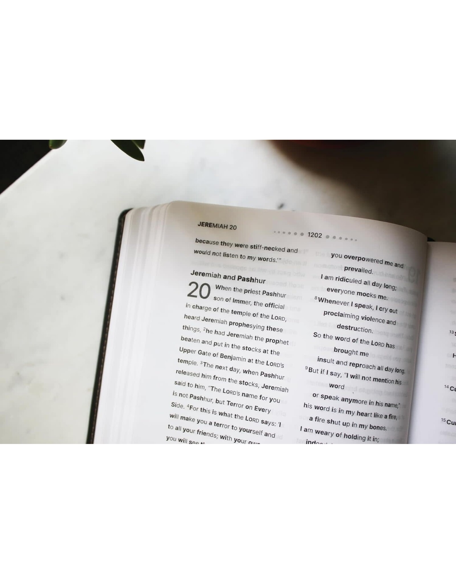 Zondervan NIV Clear Focus Bible. Leathersoft, Charcoal Brown