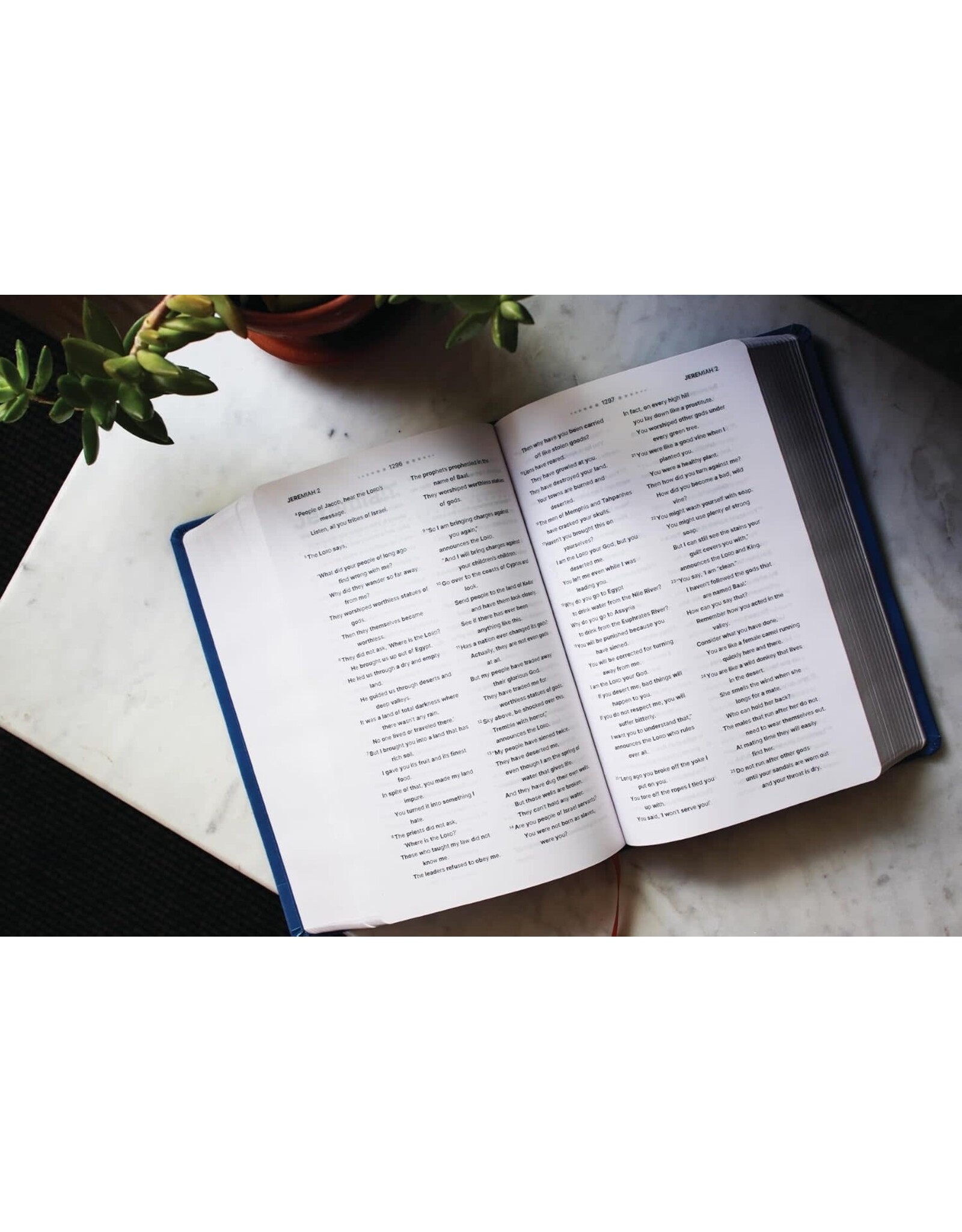 Zondervan Nirv, Clear Focus Bible for Kids (Help Kids with ADHD or Dyslexia Read with Confidence), Leathersoft, Blue