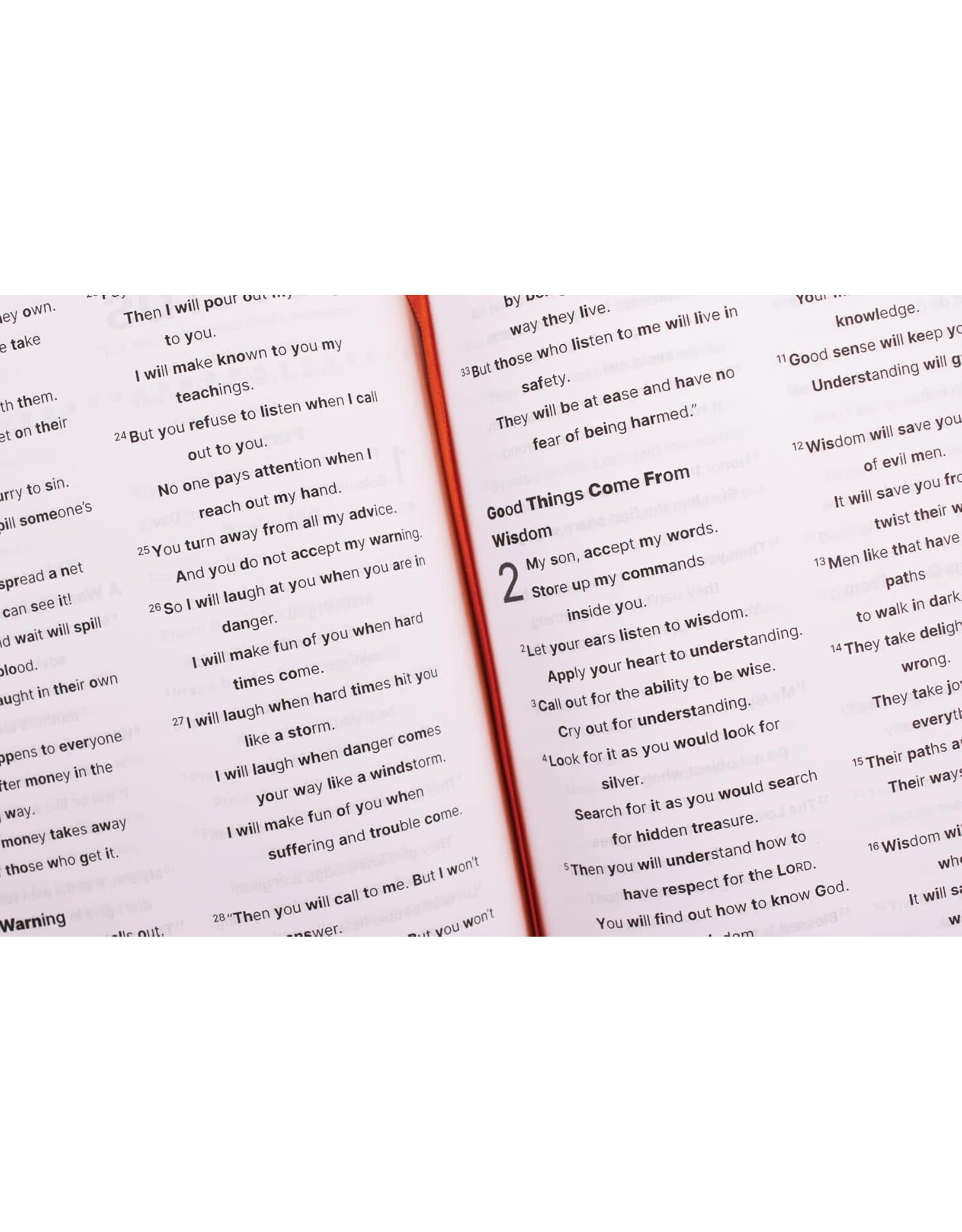 Zondervan Nirv, Clear Focus Bible for Kids (Help Kids with ADHD or Dyslexia Read with Confidence), Leathersoft, Blue