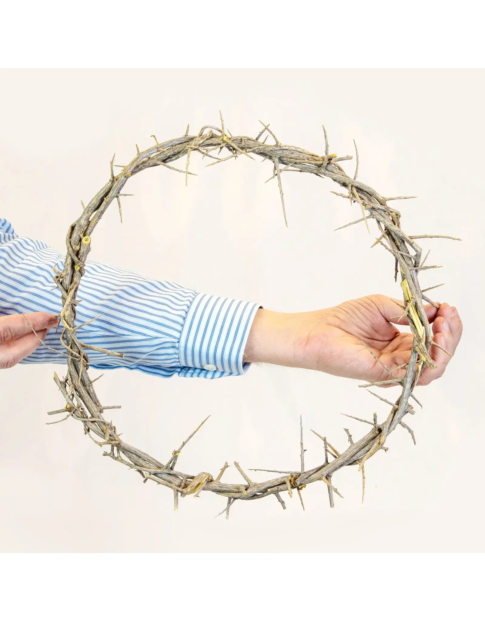 Logos Crown of Thorns - Boxed, 13" diameter with 28" Purple Cloth