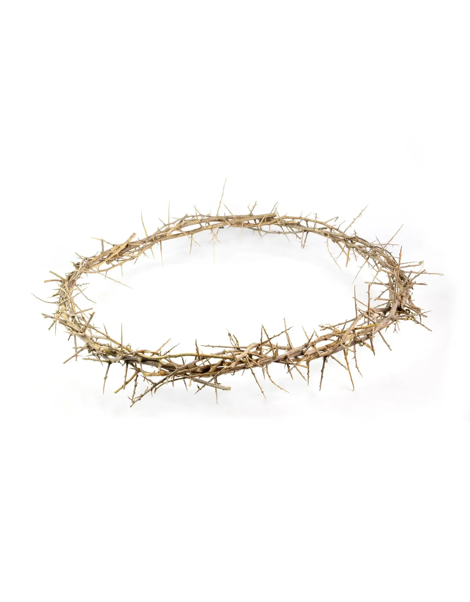 Logos Crown of Thorns - Boxed, 24" diameter