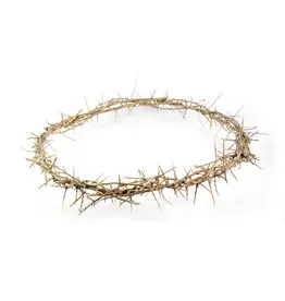 Logos Crown of Thorns - Boxed, 24" diameter