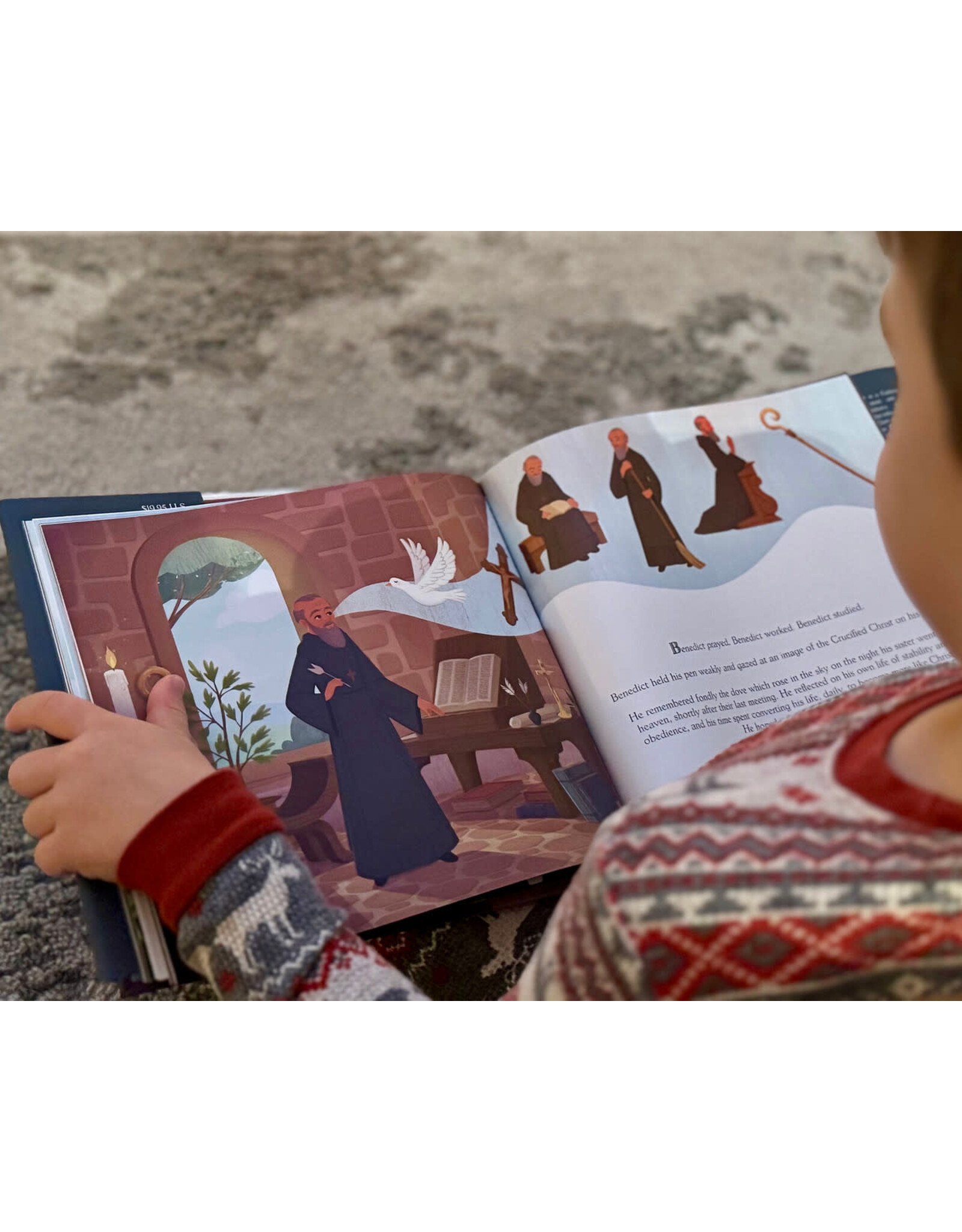 Tan Books (St. Benedict Press) Benedict & the Rule