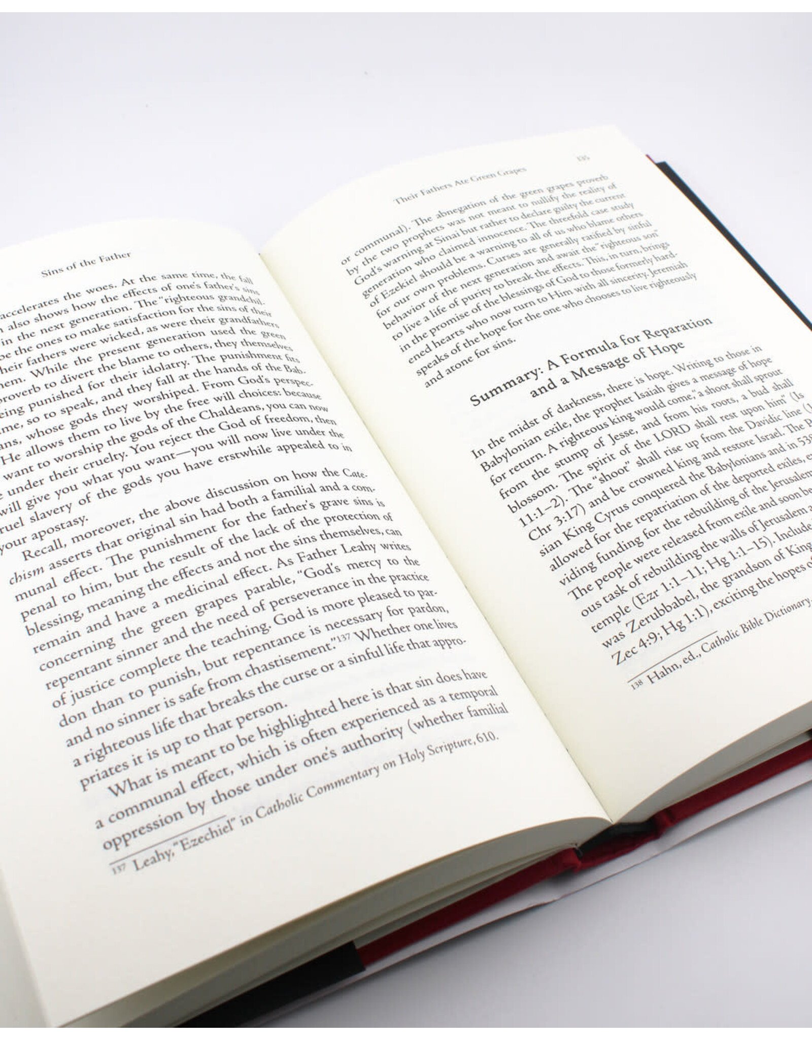 Tan Books (St. Benedict Press) Sins of the Father: A Catholic and Biblical Approach to Generational Curses