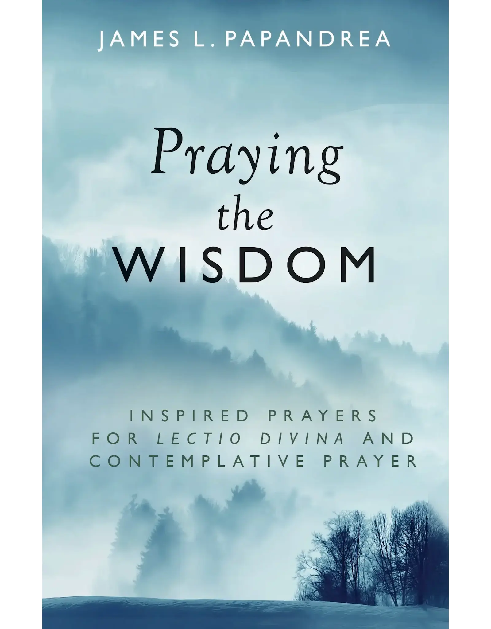 Sophia Institue Press Praying the Wisdom Inspired Prayers for Lectio Divina and Contemplative Prayer
