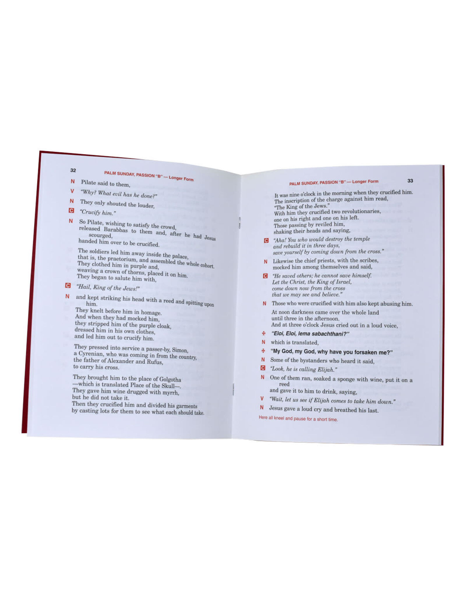 Catholic Book Publishing Passion of Our Lord Jesus Christ